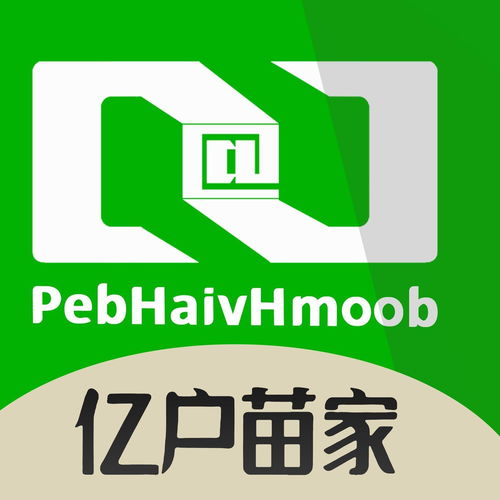 云南億戶苗家信息技術有限公司 深耕經濟信息咨詢，助力區域發展